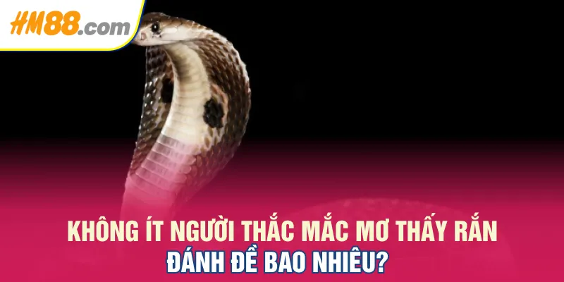 không ít người thắc mắc mơ thấy rắn đánh đề bao nhiêu